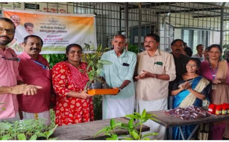 കർഷകർക്ക് കൈത്താങ്ങായി മടിക്കൈയിൽ ഞാറ്റുവേലച്ചന്ത