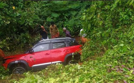 കല്ലഞ്ചിറ ഇറക്കത്തിൽ കാർ താഴ്ചയിലേക്ക് മറിഞ്ഞു; രണ്ടുപേർക്ക് പരിക്ക്