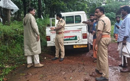 എണ്ണപ്പാറ മലയാറ്റുകയിൽ പുലി സാന്നിധ്യ സംശയം; ജാഗ്രതാ നിർദേശവുമായി വനംവകുപ്പും പോലീസും