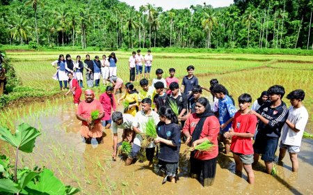 പാഠപുസ്തകത്തിൽ നിന്ന് പാടത്തേക്ക്; അമ്പലത്തറ സ്കൂൾ എൻഎസ്എസ് വിദ്യാർത്ഥികളുടെ 'വയൽ വസന്തം'