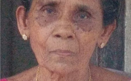 ഷോക്കേറ്റ് മകൻ മരിച്ച് ദിവസങ്ങൾക്കകം മാതാവും വിടവാങ്ങി