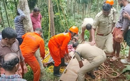 അടുക്കം മൂപ്പിലിൽ മരമുറിക്കിടെ മുകളിൽ കുടുങ്ങിയ തൊഴിലാളിയെ ഫയർഫോഴ്സ് സാഹസികമായി രക്ഷപ്പെടുത്തി