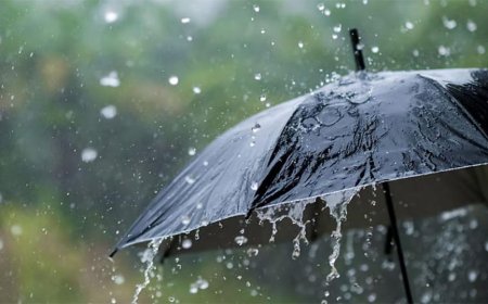 ഓറഞ്ച് അലർട്ട്: കാസർകോട് ജില്ലയിലെ എല്ലാ വിദ്യാഭ്യാസ സ്ഥാപനങ്ങൾക്കും നാളെ അവധി