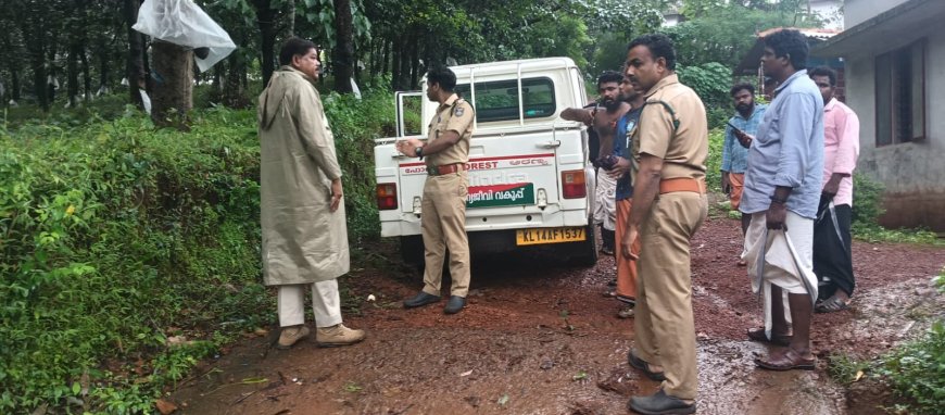 എണ്ണപ്പാറ മലയാറ്റുകയിൽ പുലി സാന്നിധ്യ സംശയം; ജാഗ്രതാ നിർദേശവുമായി വനംവകുപ്പും പോലീസും