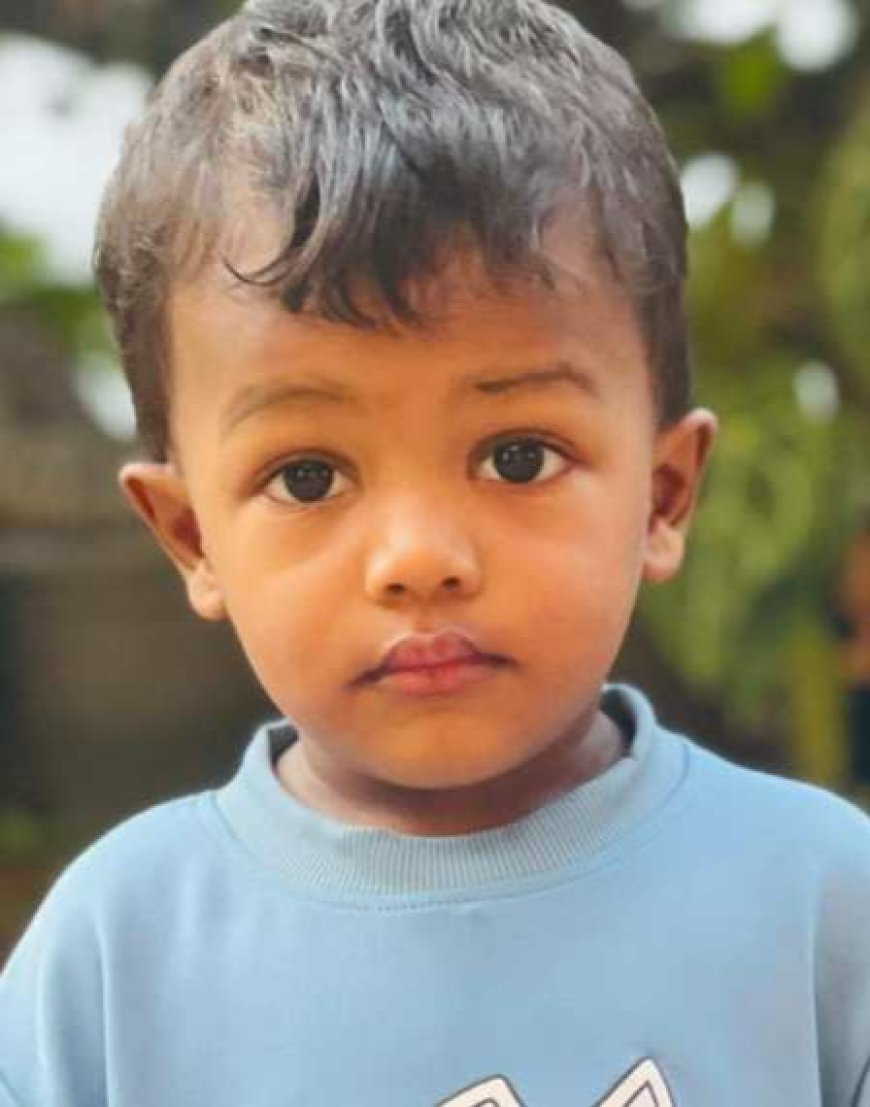 കടല തൊണ്ടയിൽ കുടുങ്ങി; മൂന്ന് വയസുകാരൻ മരിച്ചു
