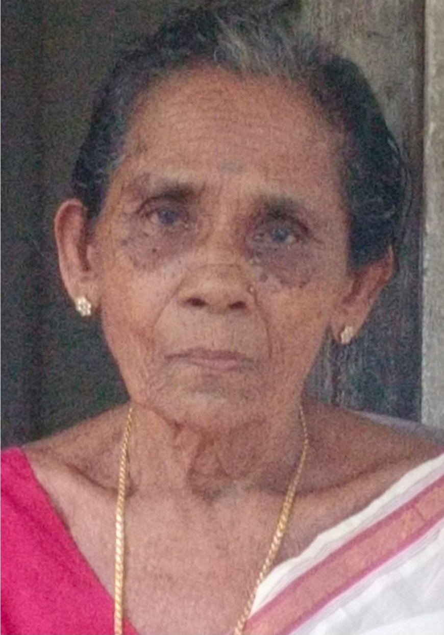 ഷോക്കേറ്റ് മകൻ മരിച്ച് ദിവസങ്ങൾക്കകം മാതാവും വിടവാങ്ങി
