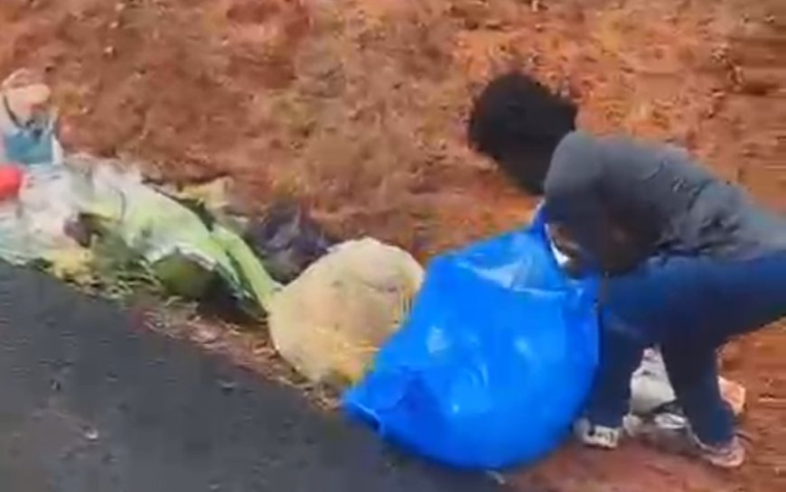 മാലിന്യം തള്ളിയ അന്യസംസ്ഥാന തൊഴിലാളികളെ നാട്ടുകാർ പിടികൂടി; തിരികെ വാരിപ്പിച്ച് ശിക്ഷ