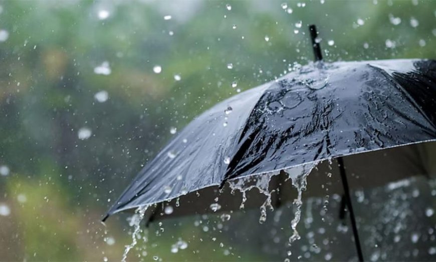 ഓറഞ്ച് അലർട്ട്: കാസർകോട് ജില്ലയിലെ എല്ലാ വിദ്യാഭ്യാസ സ്ഥാപനങ്ങൾക്കും നാളെ അവധി