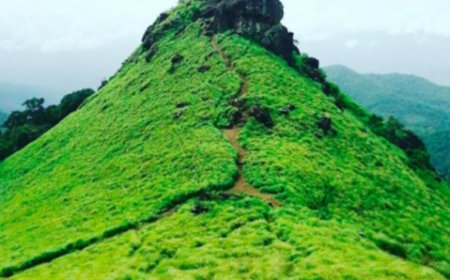 റെഡ് അലർട്ട്: റാണിപുരം ഉൾപ്പെടെ വിനോദസഞ്ചാര കേന്ദ്രങ്ങളിൽ പ്രവേശന വിലക്ക്