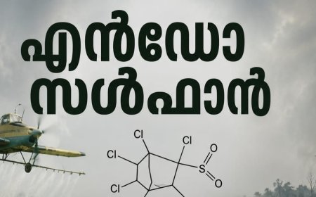 എൻഡോസൾഫാൻ; സ്നേഹ സാന്ത്വനം പദ്ധതിക്ക് 14.40 കോടി രൂപ അനുവദിച്ചു