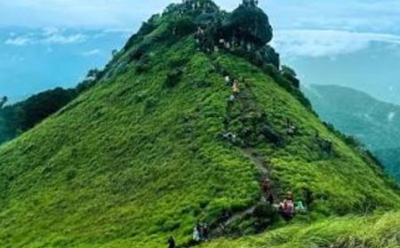 മഴയ്ക്ക് ശമനം; റാണിപുരത്ത് ട്രെക്കിങ് നാളെ മുതൽ