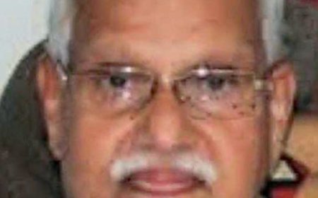 പള്ളിക്കര ദേശീയപാതയിൽ കാറിടിച്ച് വയോധികൻ മരിച്ചു