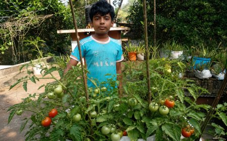 കാർഷിക ഗ്രാമമായ മടിക്കൈയ്ക്ക് അഭിമാനമായി കുട്ടിക്കർഷകൻ ആത്മജ്
