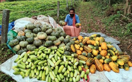 മണ്ണിനെ മാറോട് ചേർത്ത് സാബു കാരാക്കോട്. പ്രതിസന്ധികൾക്കിടയിലും ജൈവ കൃഷിയിൽ പച്ചപ്പിന്റെ പോരാട്ടം