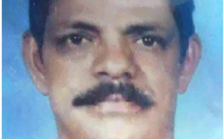 പുതിയകോട്ടയിൽ നായ കുറുകെ ചാടി; നിയന്ത്രണം വിട്ട ഓട്ടോ വൈദ്യുതി പോസ്റ്റിലിടിച്ച് മടിക്കൈ സ്വദേശി മരിച്ചു