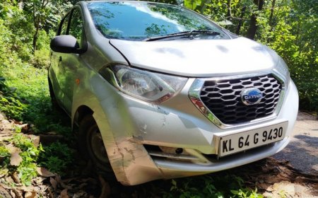 കാട്ടുപന്നികൾ വാഹനത്തിന് കുറുകെ ചാടി; കാർ നിയന്ത്രണം വിട്ട് അപകടത്തിൽപ്പെട്ടു