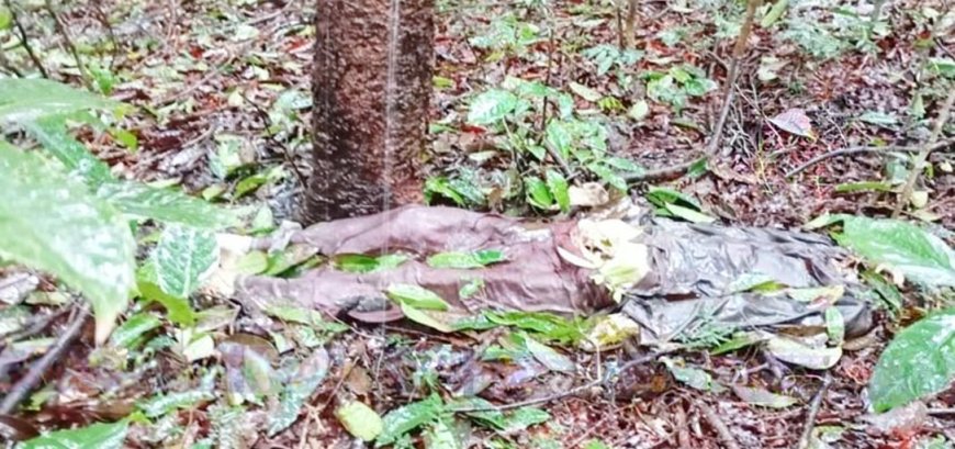 ബളാന്തോട് വനമേഖലയിൽ അഴുകിയ നിലയിൽ മൃതദേഹം; തലയും ശരീരവും വേർപെട്ട നിലയിൽ