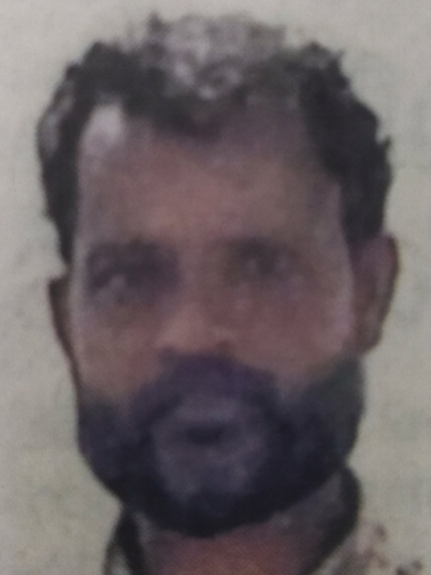 ചന്ദനം മുറിച്ച് വിൽക്കാൻ ശ്രമം; പ്രതി പിടിയിൽ