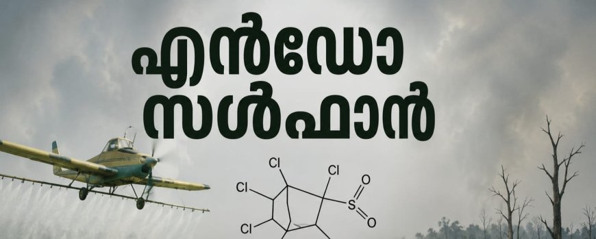 എൻഡോസൾഫാൻ; സ്നേഹ സാന്ത്വനം പദ്ധതിക്ക് 14.40 കോടി രൂപ അനുവദിച്ചു