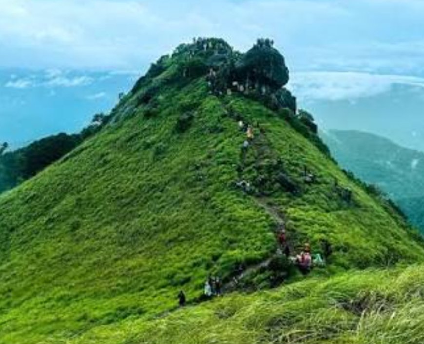 മഴയ്ക്ക് ശമനം; റാണിപുരത്ത് ട്രെക്കിങ് നാളെ മുതൽ
