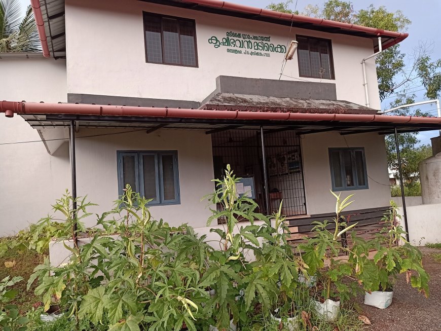 മടിക്കൈ കൃഷി ഭവന്റെ ഓണച്ചന്ത നാളെ ആരംഭിക്കും