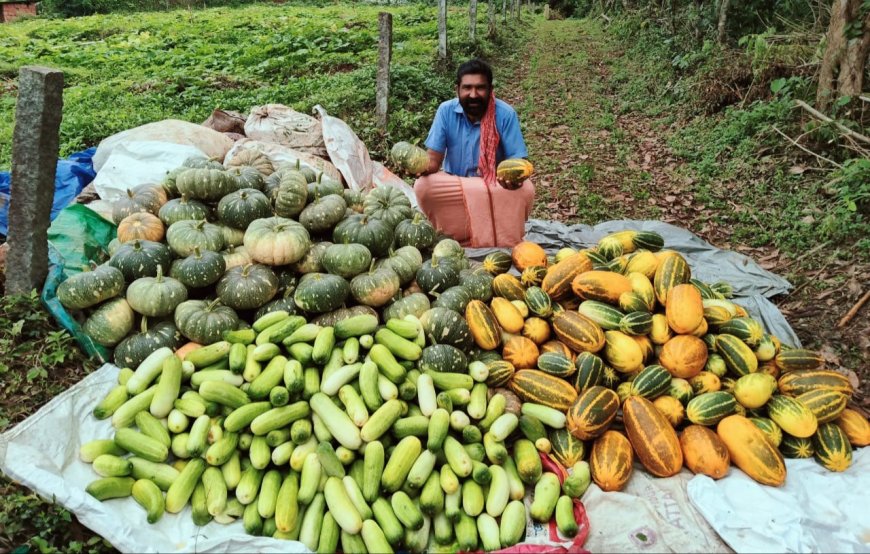 മണ്ണിനെ മാറോട് ചേർത്ത് സാബു കാരാക്കോട്. പ്രതിസന്ധികൾക്കിടയിലും ജൈവ കൃഷിയിൽ പച്ചപ്പിന്റെ പോരാട്ടം