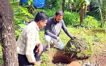 കാഞ്ഞങ്ങാട് നിട്ടൂക്കത്ത് 2000 വർഷം പഴക്കമുള്ള ചെങ്കല്ലറ കണ്ടെത്തി