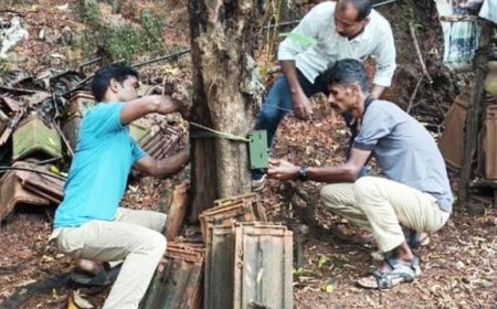 പാണത്തൂർ: ജനവാസ മേഖലയിൽ പുലി ഭീതി; പരിയാരത്ത് വനംവകുപ്പ് നിരീക്ഷണ ക്യാമറകൾ സ്ഥാപിച്ചു