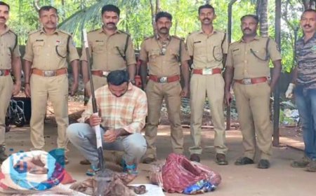 നായാട്ടിനിടെ തോക്കും 40 കിലോ മാനിറച്ചിയുമായി ഒരാൾ പിടിയിൽ