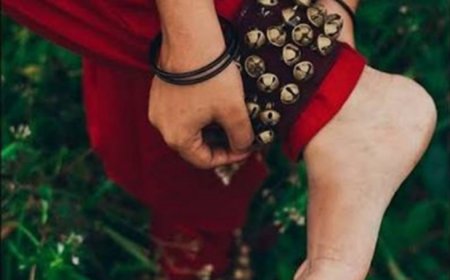 കാസർകോട് ജില്ലാ സ്കൂൾ കലോത്സവത്തിന് പെരിയ വേദിയാകും; കായികമേള നീലേശ്വരത്ത്