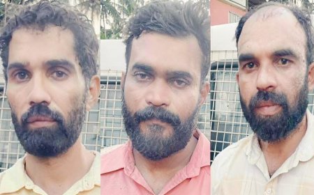കോളിച്ചാലിലെ മയക്കുമരുന്നു വേട്ട; എം ഡി എം എ കൊണ്ടുവന്നത് ബംഗ്ലൂരൂവിൽ നിന്ന്