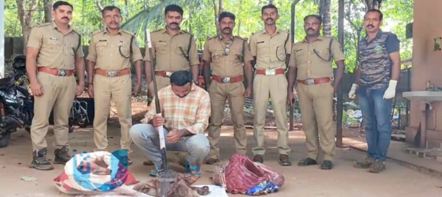 നായാട്ടിനിടെ തോക്കും 40 കിലോ മാനിറച്ചിയുമായി ഒരാൾ പിടിയിൽ