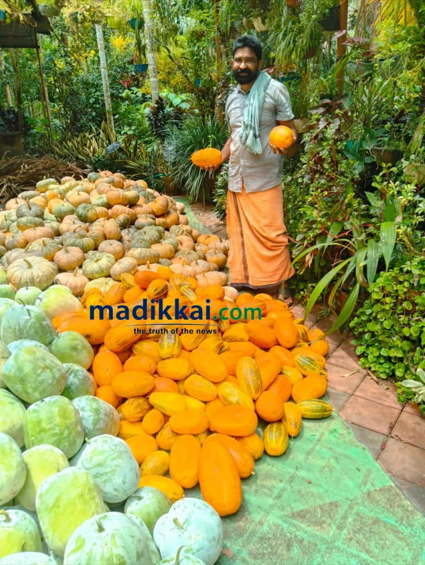 കാലാവസ്ഥാ വ്യതിയാനം പച്ചക്കറി കർഷകർക്ക് ഇരുട്ടടിയായി; വിളവെടുപ്പ് നേരത്തെയാക്കി
