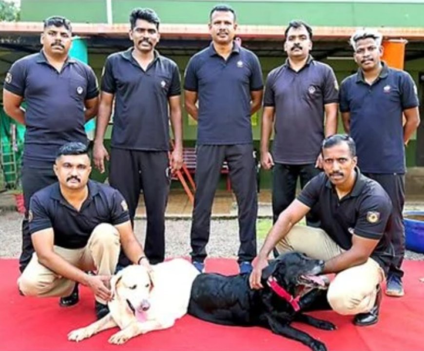 പത്തുവർഷത്തെ സേവനം; ബഡ്ഡിക്കും കാമിക്കും ഇന്ന് ഔദ്യോഗിക യാത്രയയപ്പ്