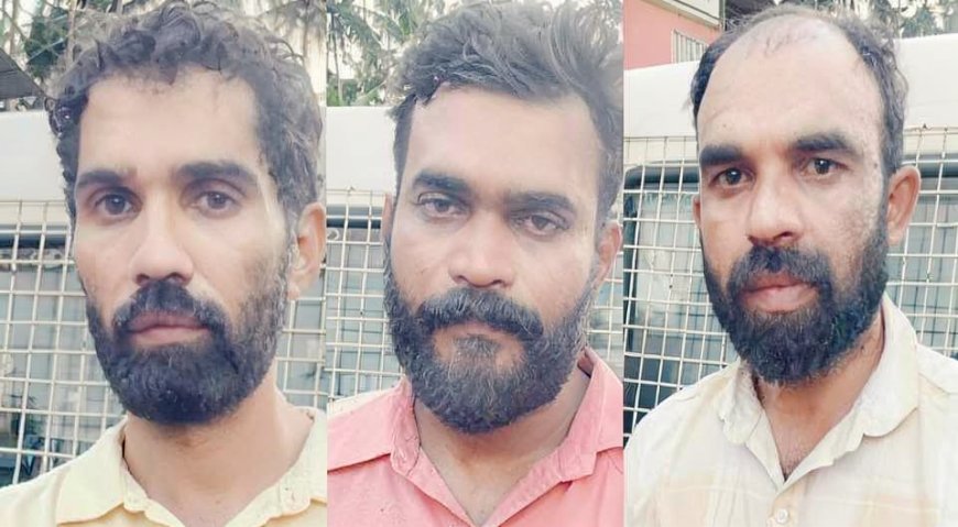 കോളിച്ചാലിലെ മയക്കുമരുന്നു വേട്ട; എം ഡി എം എ കൊണ്ടുവന്നത് ബംഗ്ലൂരൂവിൽ നിന്ന്