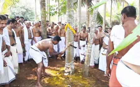 16 വർഷങ്ങൾക്ക് ശേഷം ഒറ്റക്കോല മഹോത്സവം; നാൾമരം മുറിച്ചു