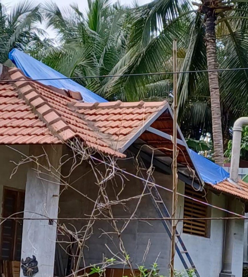 തെങ്ങ് മുറിച്ചുമാറ്റാൻ ഉത്തരവുണ്ടായിട്ടും നടപടിയില്ലെന്ന് പരാതി; വിശദീകരണവുമായി പഞ്ചായത്ത് പ്രസിഡന്റ്
