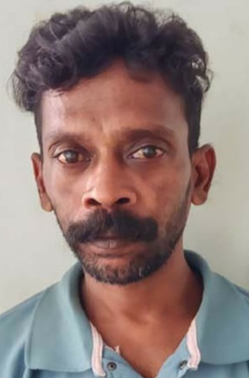 പ്രായപൂർത്തിയാകാത്ത ആൺകുട്ടിയെ പീഡിപ്പിച്ച കേസ്: പ്രതിക്ക് 17 വർഷം കഠിനതടവ്